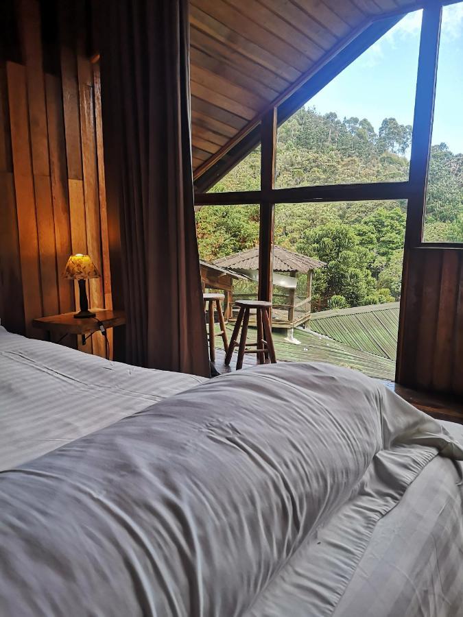Alive Eco Hut Pousada Монте Верде Екстериор снимка