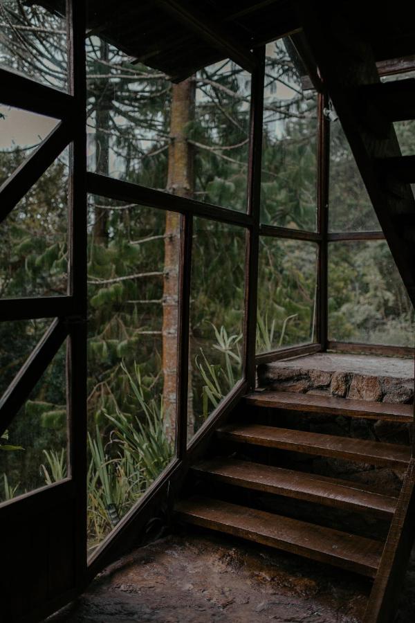 Alive Eco Hut Pousada Монте Верде Екстериор снимка