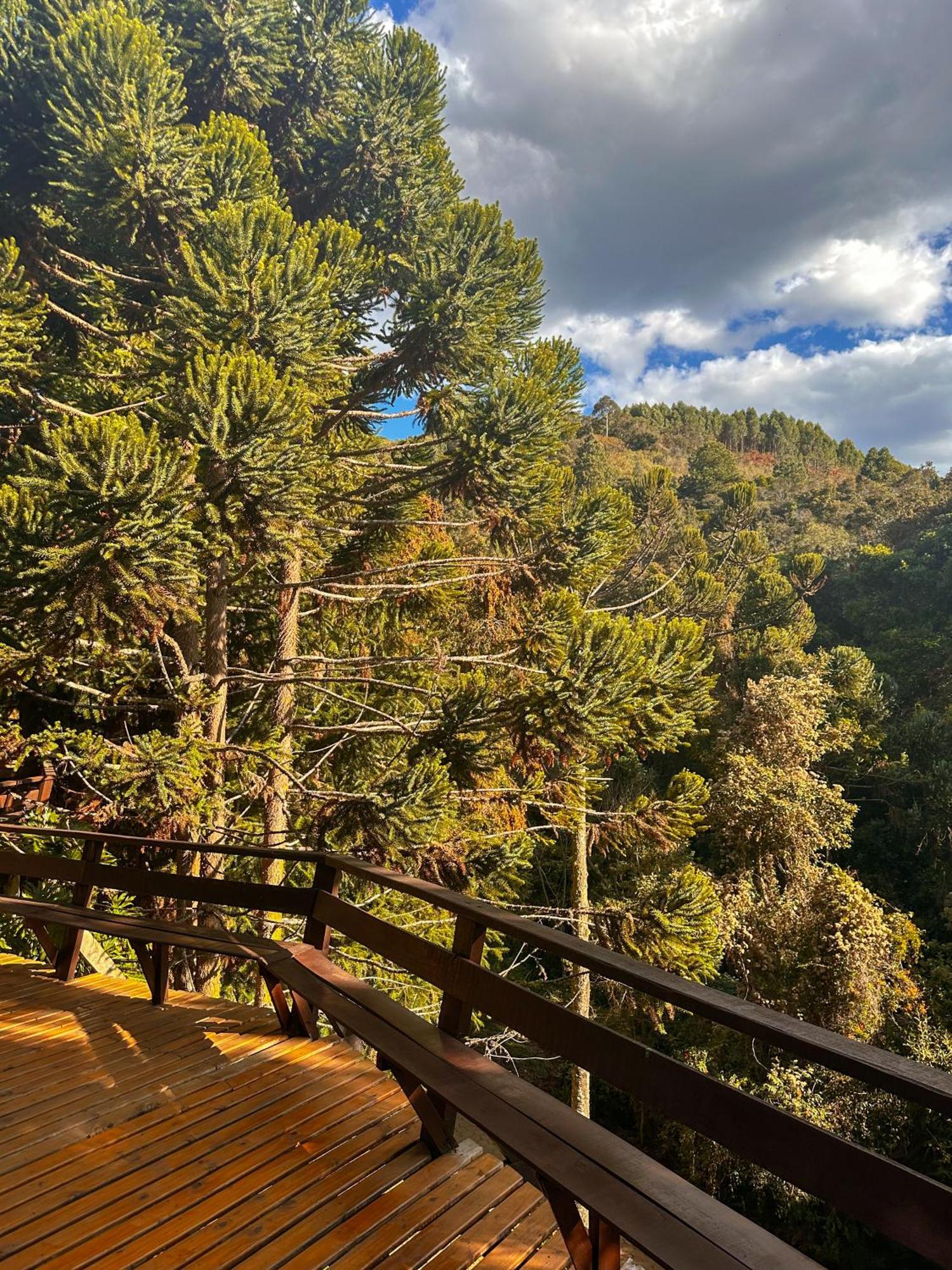 Alive Eco Hut Pousada Монте Верде Екстериор снимка